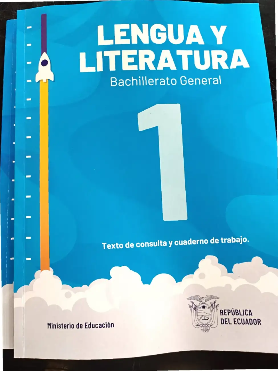 Página 1