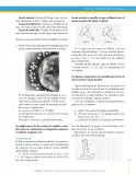Miniatura página 119 de Matematica 6° · Secundaria Activa