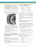 Miniatura página 119 de Matematica 6° · Secundaria Activa