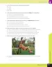 Miniatura página 52 de Libro de Ciencias Naturales – Quinto Básico | Texto del Estudiante MINEDUC – Descargar PDF · 2024