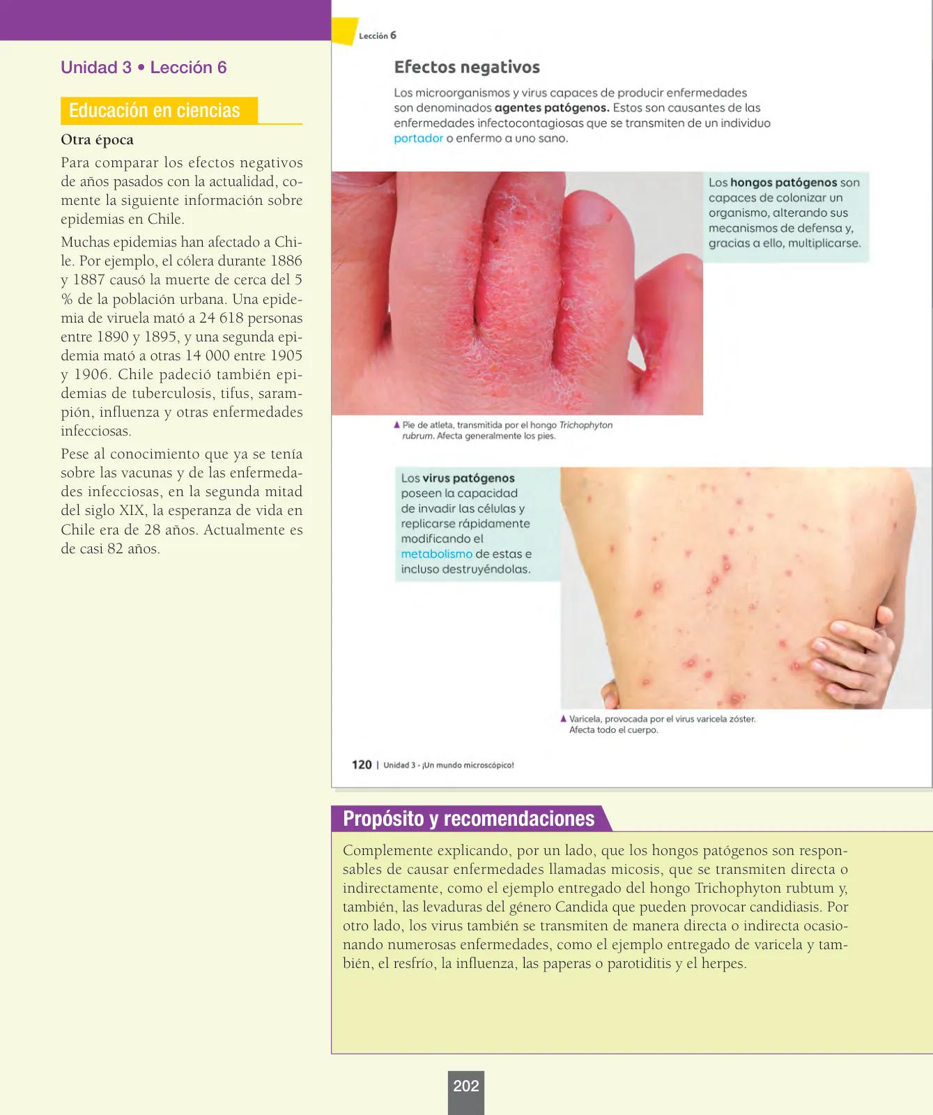 Página 27 de Ciencias Naturales – Séptimo Básico | Texto del Estudiante MINEDUC – Descargar PDF · 2024