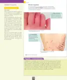 Miniatura página 27 de Ciencias Naturales – Séptimo Básico | Texto del Estudiante MINEDUC – Descargar PDF · 2024