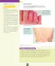 Miniatura página 27 de Ciencias Naturales – Séptimo Básico | Texto del Estudiante MINEDUC – Descargar PDF · 2024