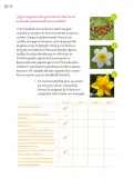 Miniatura página 129 de Proyectos Comunitarios.   Libro de Educación Primaria Grado 6°  Ciclo Escolar 2025 - 2026