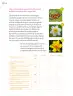 Miniatura página 129 de Proyectos Comunitarios.   Libro de Educación Primaria Grado 6°  Ciclo Escolar 2025 - 2026