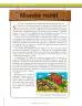 Miniatura página 234 de Ciencias Sociales 7° · Secundaria Activa