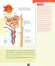 Miniatura página 48 de Ciencias Naturales – Octavo Básico | Texto del Estudiante MINEDUC – Descargar PDF · 2024