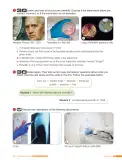 Miniatura página 37 de Inglés – Octavo Básico | Student’s Book MINEDUC – Descargar PDF · 2024