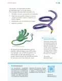 Miniatura página 124 de Nuestros saberes: Libro para alumnos, maestros y familia.   Libro de Educación Primaria Grado 1°  Ciclo Escolar 2025 - 2026