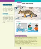 Miniatura página 145 de Ciencias Naturales – Primero Básico | Texto del Estudiante (MINEDUC) – Descargar PDF · 2024