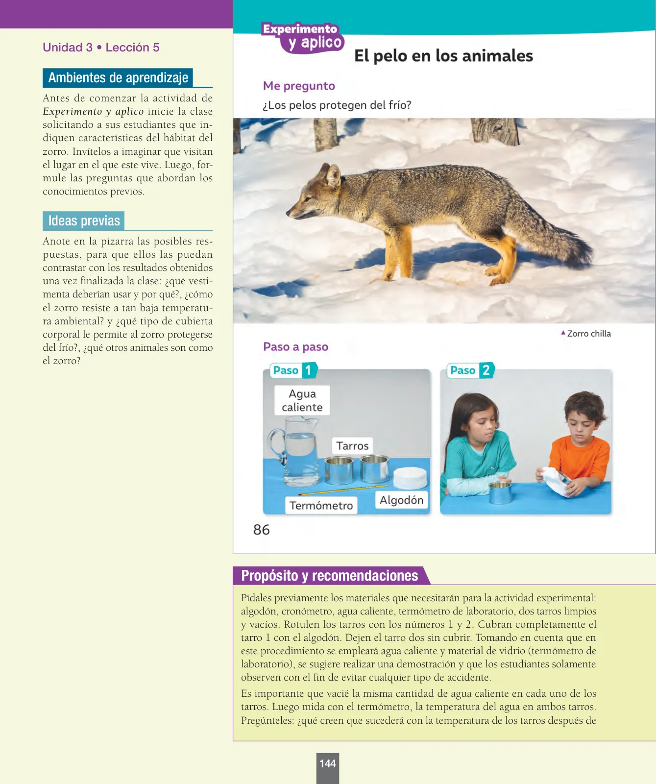 Miniatura página 145 de Ciencias Naturales – Primero Básico | Texto del Estudiante (MINEDUC) – Descargar PDF · 2024
