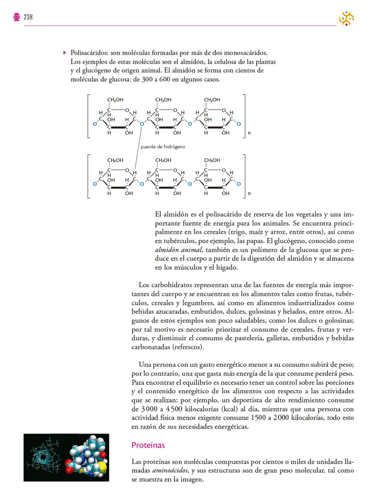 Miniatura página 239 de Colección Nanahuatzin. Saberes y pensamiento científico.   Libro de Educación Secundaria Grado 3°  Ciclo Escolar 2025 - 2026