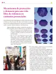 Pág 307