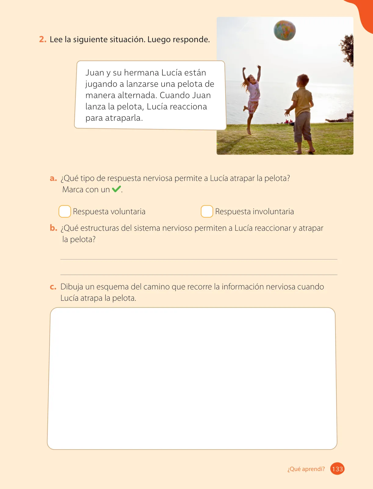 Miniatura página 135 de Ciencias Naturales – Cuarto Básico | Texto del Estudiante MINEDUC – Descargar PDF · 2024