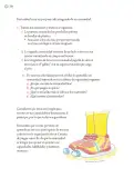 Miniatura página 287 de Proyectos Escolares.   Libro de Educación Primaria Grado 5°  Ciclo Escolar 2025 - 2026
