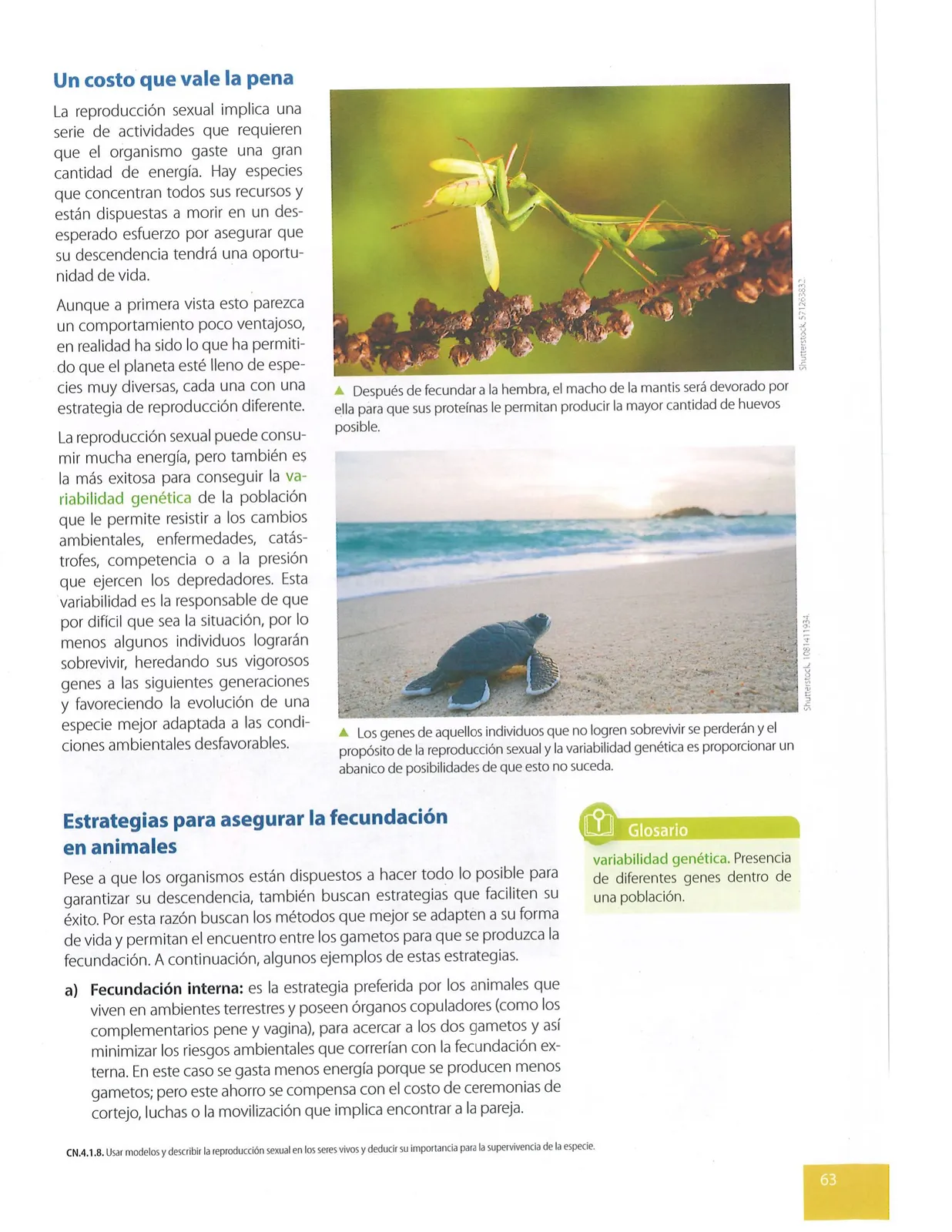 Pág 64