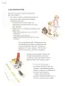 Miniatura página 37 de Proyectos de Aula.   Libro de Educación Primaria Grado 3°  Ciclo Escolar 2025 - 2026