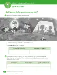 Pág 10