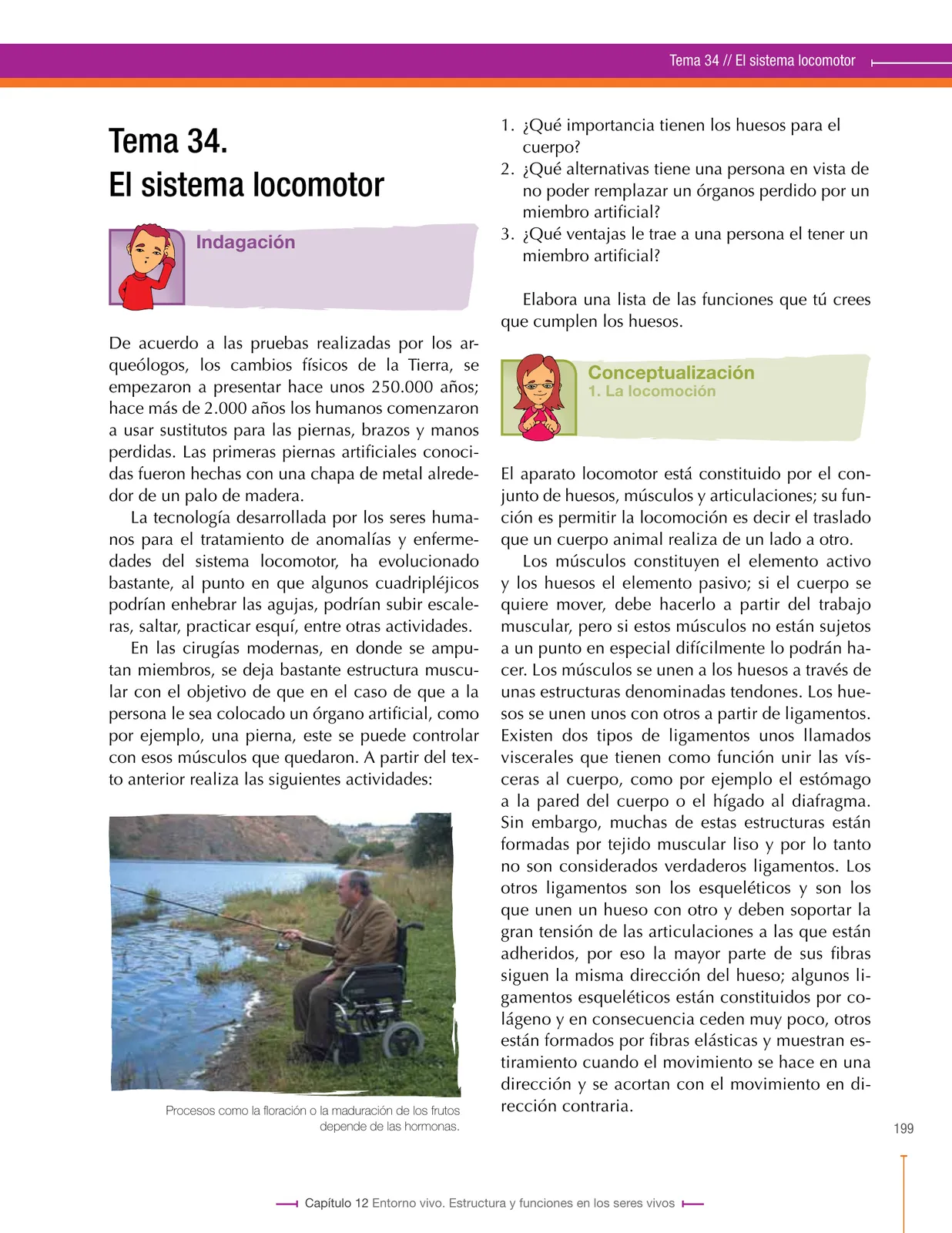 Página 199 de Ciencias Naturales 8° · Secundaria Activa