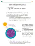 Miniatura página 225 de Colección Sk´asolil. Saberes y pensamiento científico.   Libro de Educación Telesecundaria Grado 2°  Ciclo Escolar 2025 - 2026