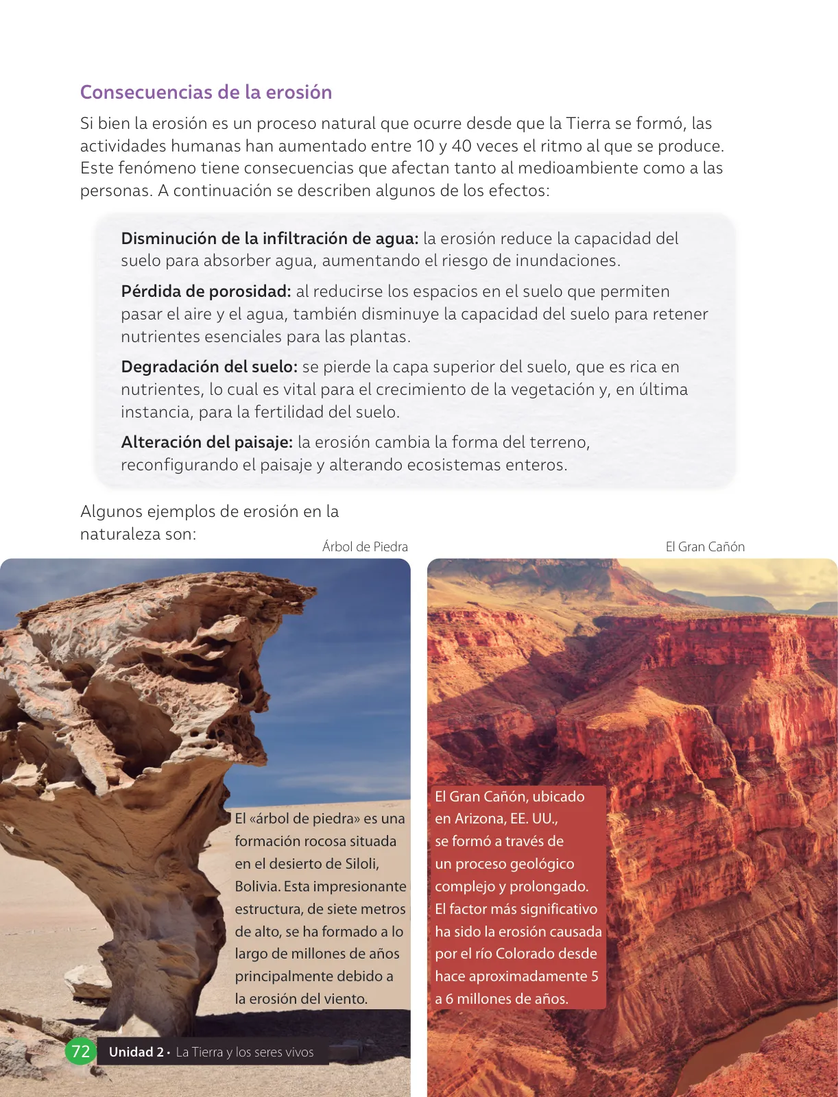 Miniatura página 74 de Libro de Ciencias Naturales – Quinto Básico | Texto del Estudiante MINEDUC – Descargar PDF · 2024