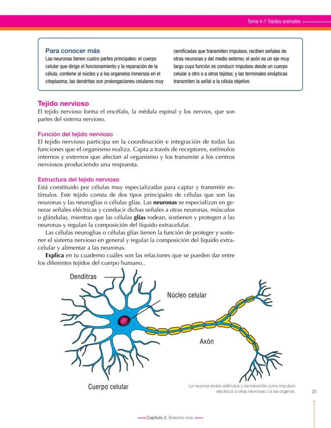 Página 37 de Ciencias Naturales 7° · Secundaria Activa
