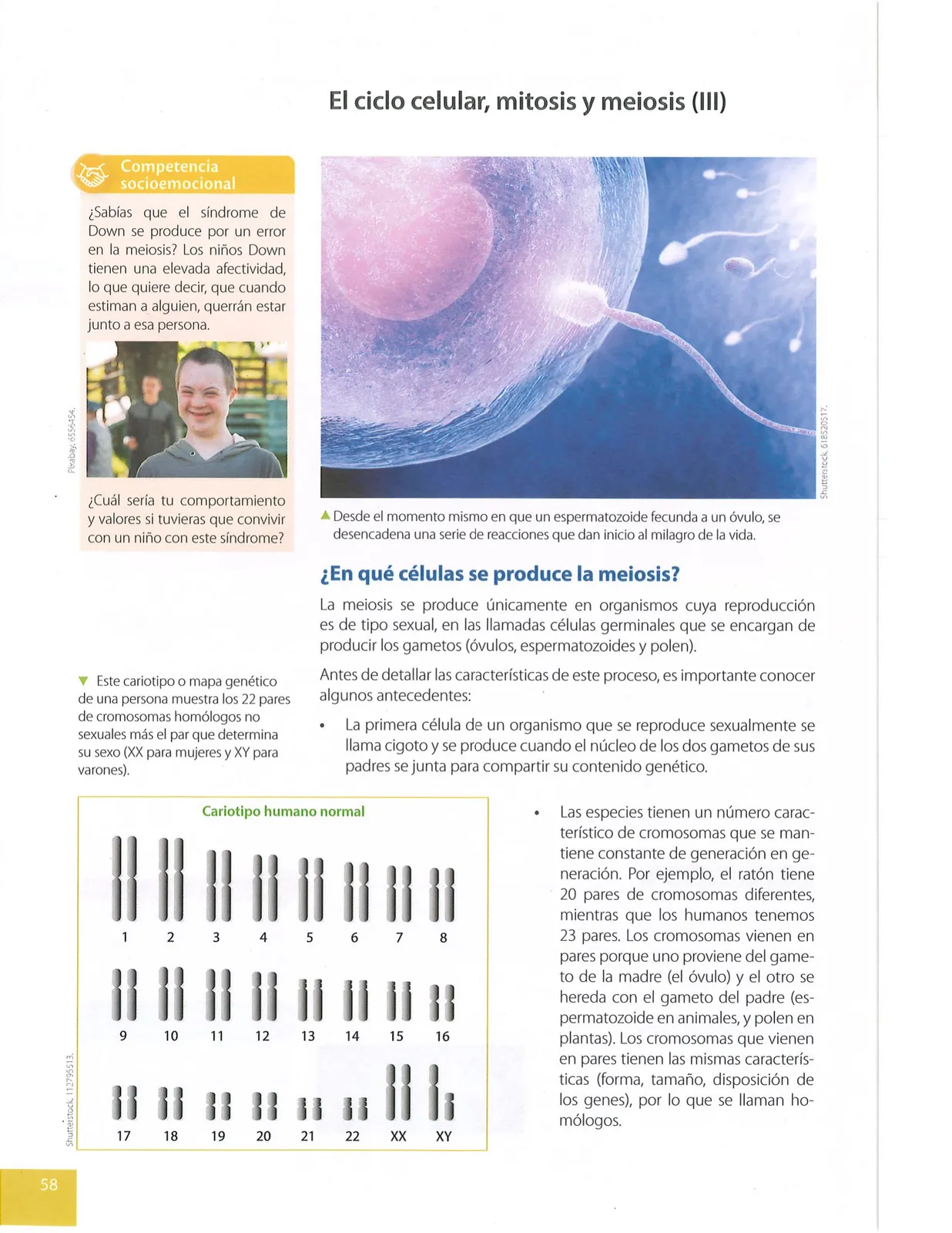 Página 59 de Ciencias Naturales · 9 EGB · 2024