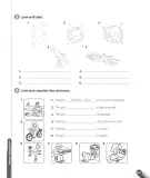 Miniatura página 103 de Inglés – Cuarto Básico | Texto del Estudiante MINEDUC – Descargar PDF · 2024