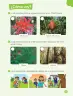 Miniatura página 97 de Ciencias Naturales – Primero Básico | Texto del Estudiante (MINEDUC) – Descargar PDF · 2024