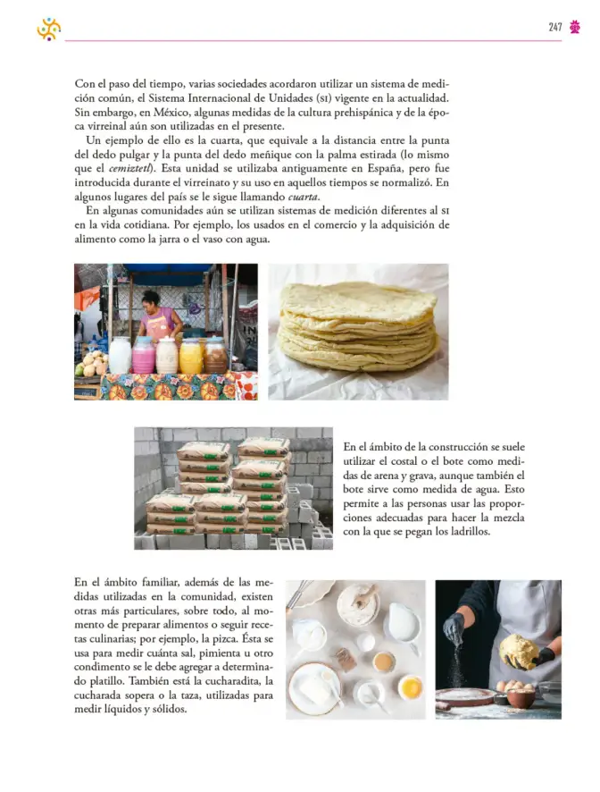 Página 248 de Colección Sk´asolil. Saberes y pensamiento científico. Libro de Educación Secundaria Grado 2° Ciclo Escolar 2025 - 2026