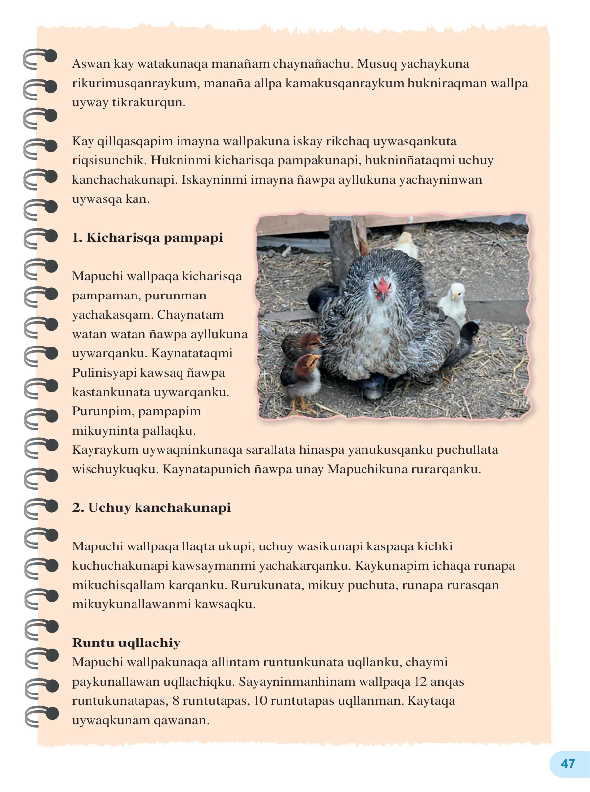 Pág 49