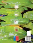 Pág 202