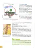 Miniatura página 101 de Ciencias Naturales 8° · Egb 8 Ciencias Naturales 2025 · 2025