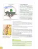 Miniatura página 101 de Ciencias Naturales 8° · Egb 8 Ciencias Naturales 2025 · 2025