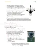 Miniatura página 174 de Proyectos Comunitarios.   Libro de Educación Primaria Grado 5°  Ciclo Escolar 2025 - 2026
