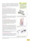 Miniatura página 26 de Ciencias Naturales 8° · Egb 8 Ciencias Naturales 2025 · 2025