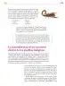Miniatura página 180 de Colección Sk´asolil. Lenguajes.   Libro de Educación Secundaria Grado 2°  Ciclo Escolar 2025 - 2026