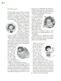 Miniatura página 109 de Crianza para la libertad. Libro para las familias. Fase 2  Libro de Educación Preescolar Grado 1°, 2°, 3°  Ciclo Escolar 2025 - 2026