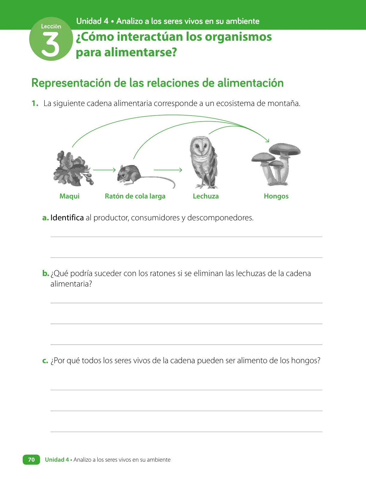 Página 72 de Ciencias Naturales – Cuarto Básico | Texto del Estudiante MINEDUC – Descargar PDF · 2024