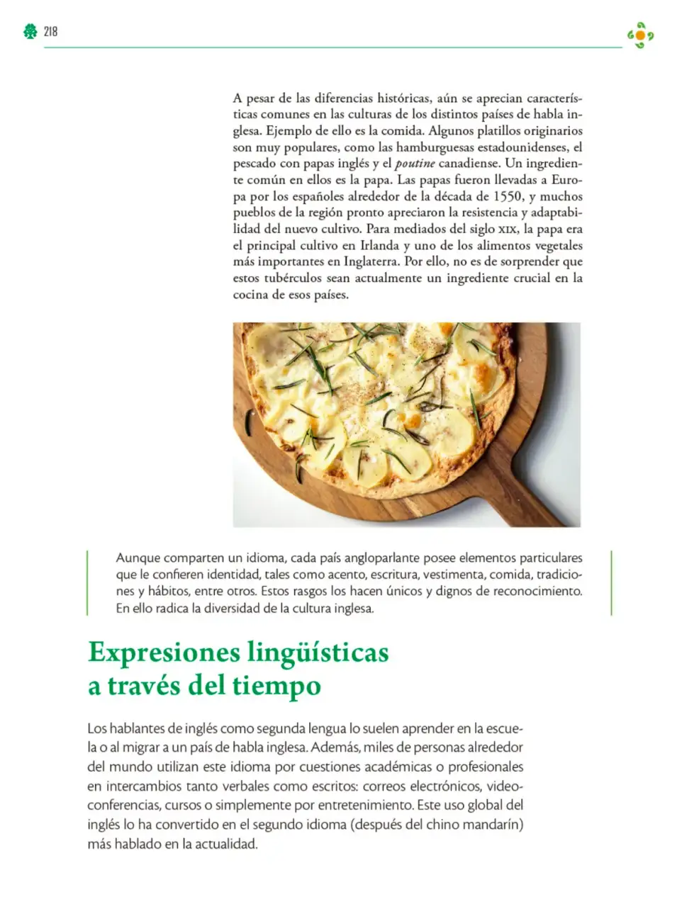 Página 219
