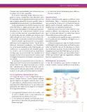 Miniatura página 107 de Ciencias Naturales 9° · Secundaria Activa