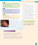 Miniatura página 141 de Historia, Geografía y Ciencias Sociales – Segundo Básico – Texto del Estudiante MINEDUC – Descargar PDF · 2024