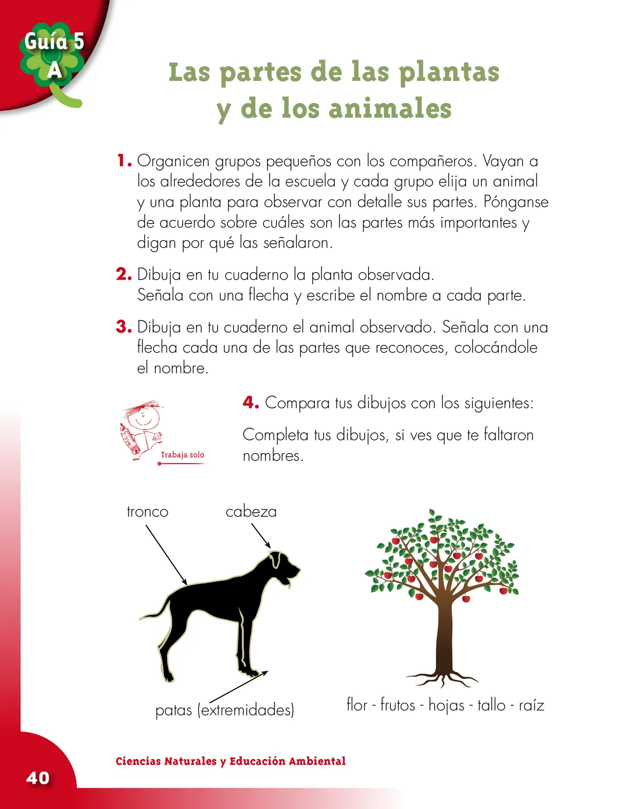Página 40 de Ciencias Naturales 2° · Cartilla 01