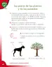 Miniatura página 40 de Ciencias Naturales 2° · Cartilla 01