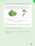 Miniatura página 91 de Libro de Ciencias Naturales – Quinto Básico | Texto del Estudiante MINEDUC – Descargar PDF · 2024