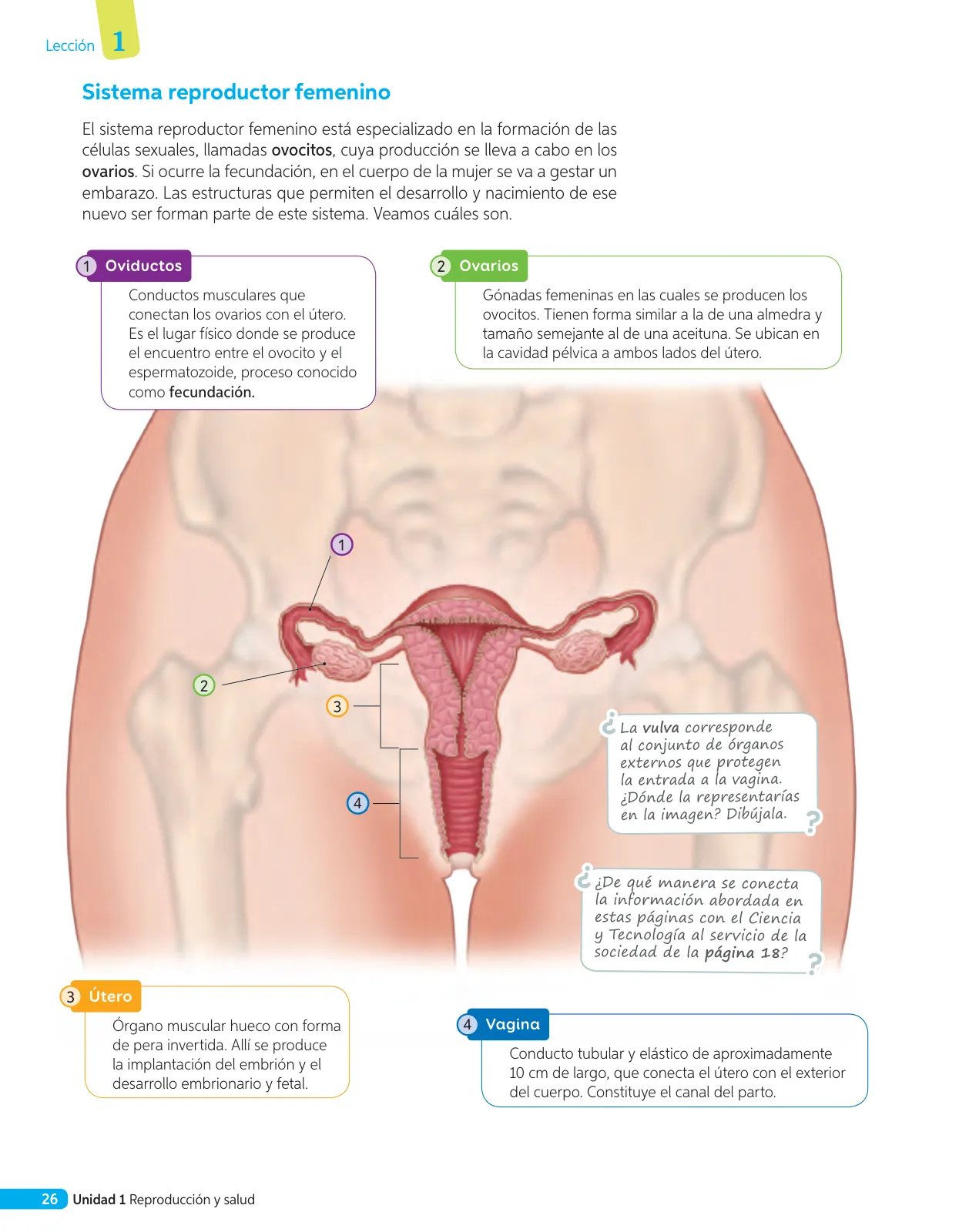 Página 103 de Libro de Ciencias Naturales – Quinto Básico | Texto del Estudiante MINEDUC – Descargar PDF · 2024