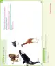 Miniatura página 103 de Ciencias Naturales – Segundo Básico | Texto del Estudiante MINEDUC – Descargar PDF · 2024