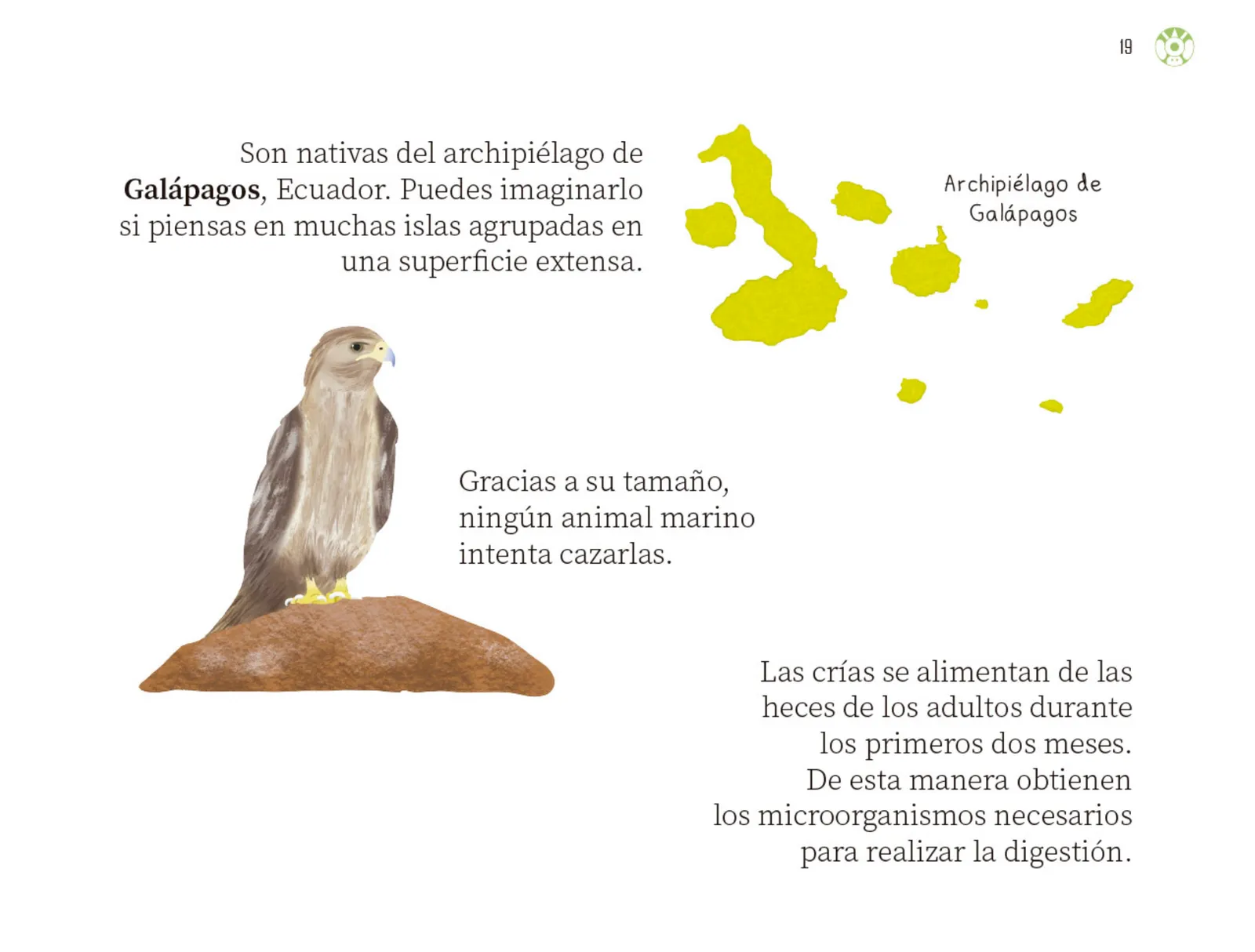 Miniatura página 20 de Múltiples lenguajes.   Libro de Educación Preescolar Grado 3°  Ciclo Escolar 2025 - 2026