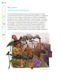 Miniatura página 139 de Nuestros saberes: Libro para alumnos, maestros y familia.   Libro de Educación Primaria Grado 1°  Ciclo Escolar 2025 - 2026