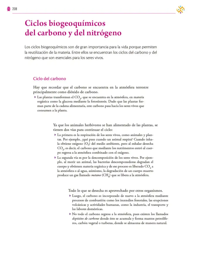Página 209 de Colección Ximhai. Saberes y pensamiento científico. Libro de Educación Secundaria Grado 1° Ciclo Escolar 2025 - 2026